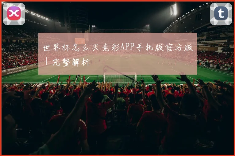世界杯怎么买竞彩APP手机版官方版｜完整解析