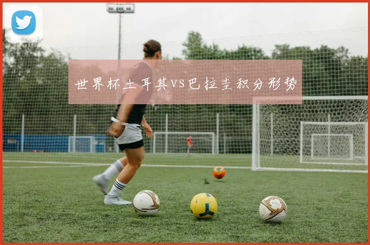 世界杯土耳其vs巴拉圭积分形势