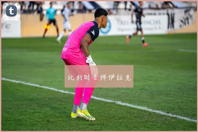 比利时会师伊拉克