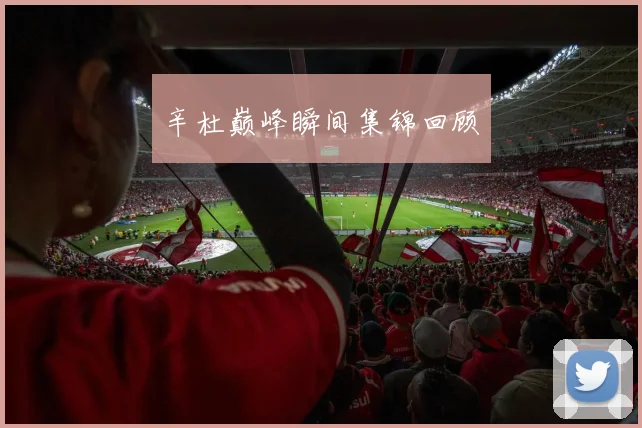 辛杜巅峰瞬间集锦回顾