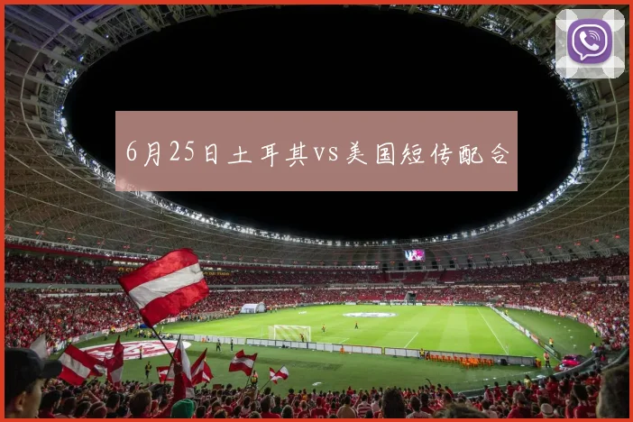 6月25日土耳其vs美国短传配合
