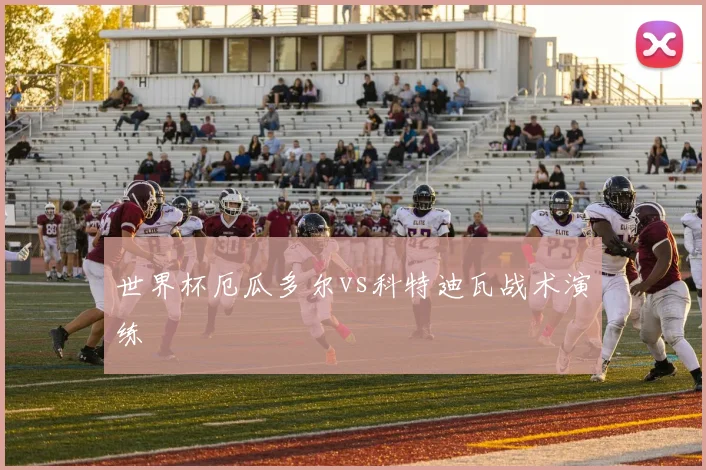 世界杯厄瓜多尔vs科特迪瓦战术演练