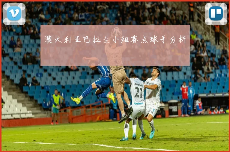 澳大利亚巴拉圭小组赛点球手分析