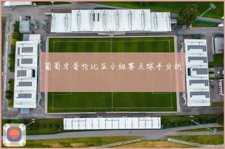 葡萄牙哥伦比亚小组赛点球手分析
