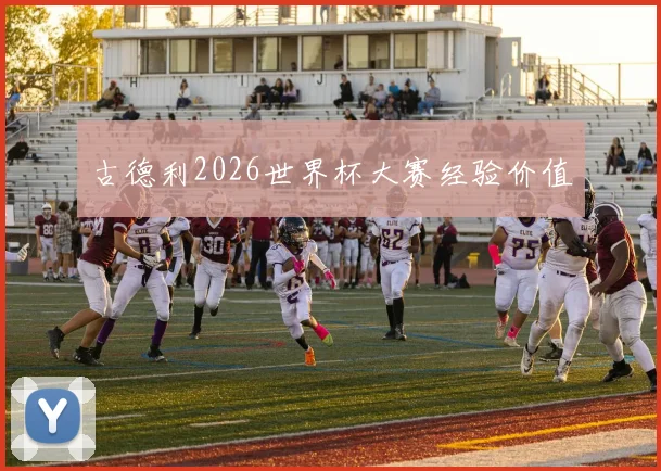 古德利2026世界杯大赛经验价值