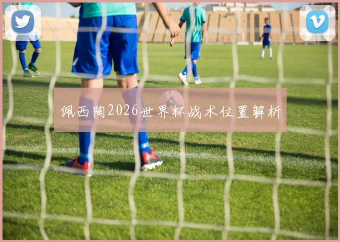 佩西陶2026世界杯战术位置解析