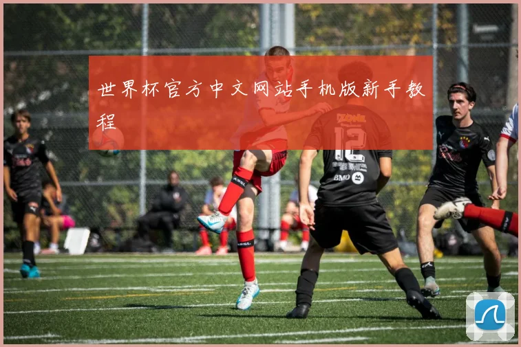 世界杯官方中文网站手机版新手教程