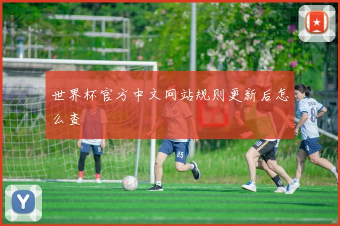 世界杯官方中文网站规则更新后怎么查