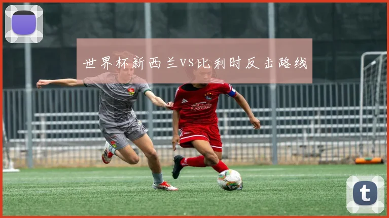 世界杯新西兰vs比利时反击路线