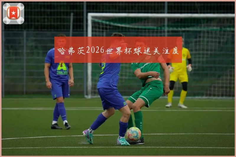哈弗茨2026世界杯球迷关注度