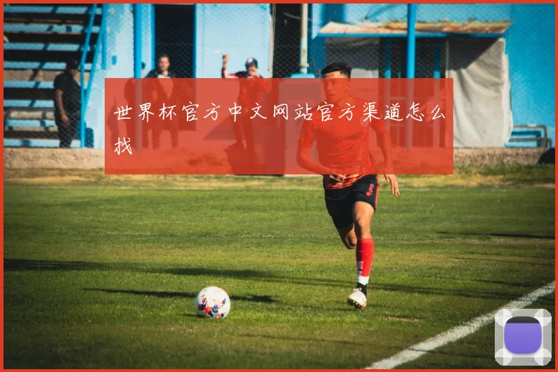 世界杯官方中文网站官方渠道怎么找